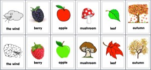 Karty obrazkowe Autumn 