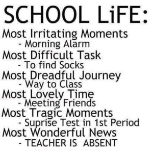 school-life-most-irritating-and-most-wonderful-things (from: nephub.com)