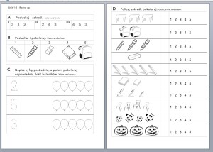 Karta pracy Round up 2