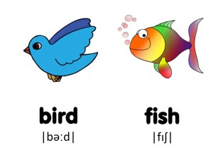 pronun fish_birds