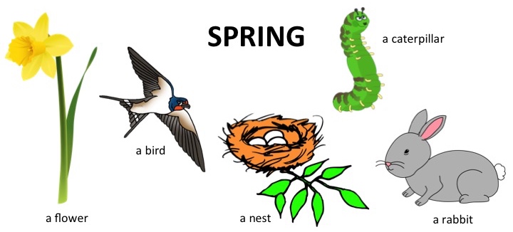 Spring vocab