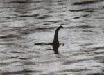 1934-lochnessmonster