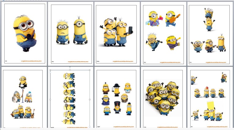 Minion flashcards