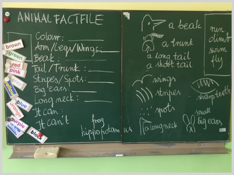 Animal factfile boardwork