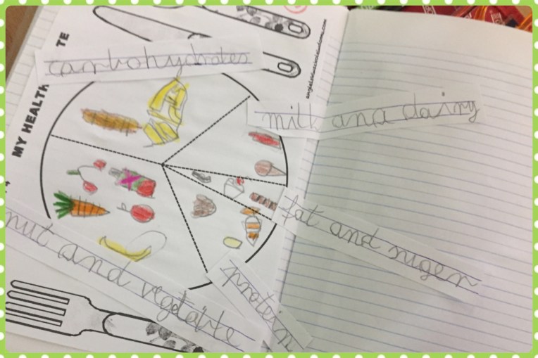 my-healthy-plate-4