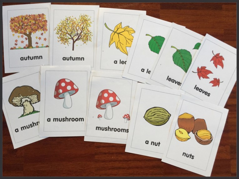 Autumn flashcards