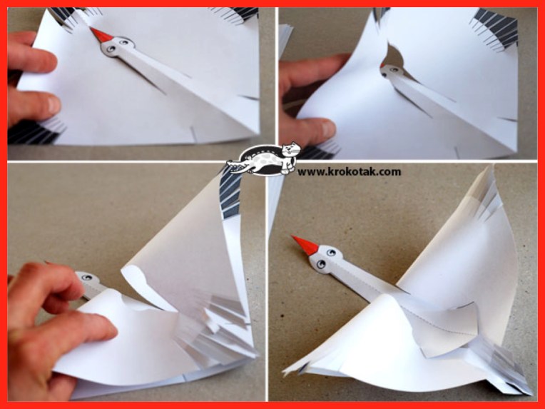 stork1