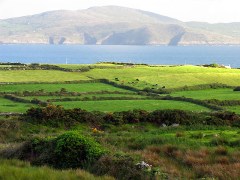 Pasture_near_Ballyieragh_-_geograph.org.uk_-_15185.jpg