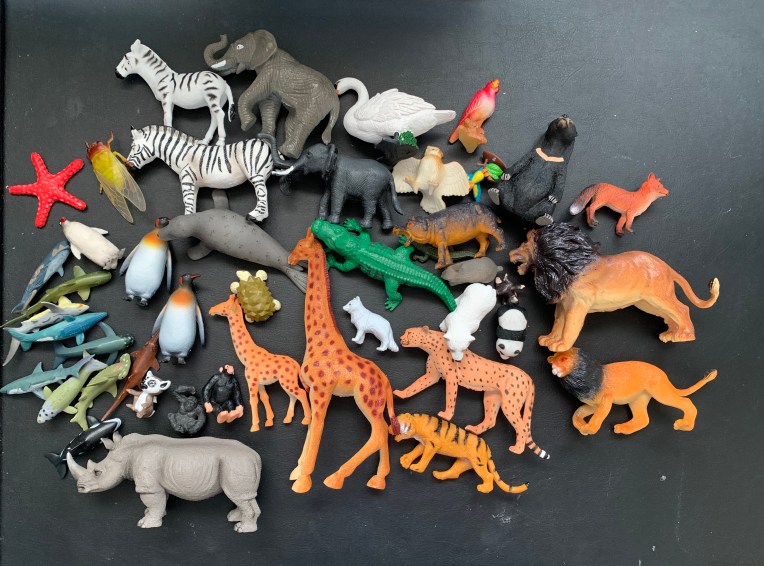 Animal collection.jpg