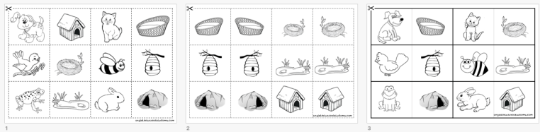 Animal Homes_memory_domonoes.jpg