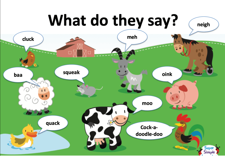 What do they say.jpg