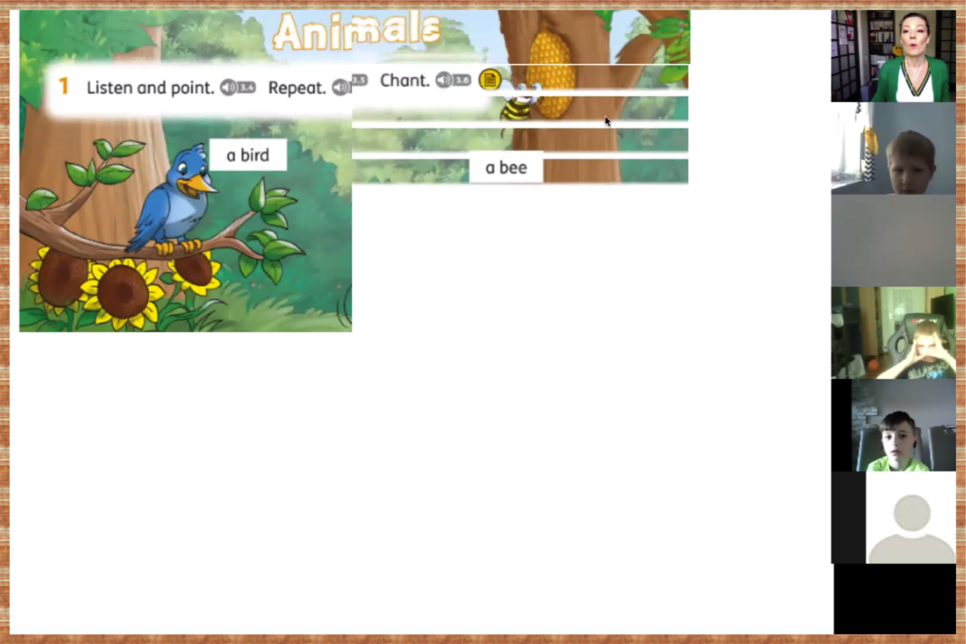 animals_revision