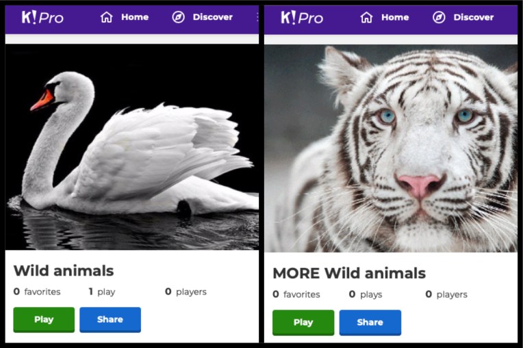 Kahoot_Animals.jpg