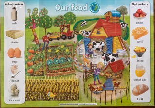 Our food poster.jpg