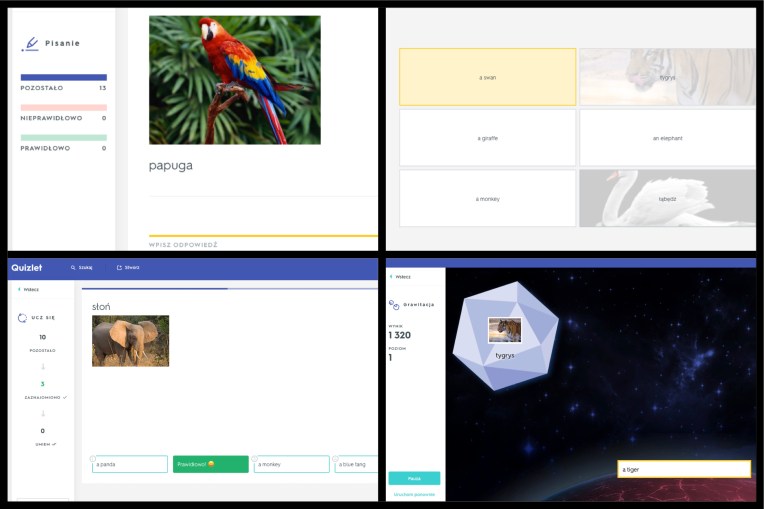 Quizlet Wild Animals.jpg